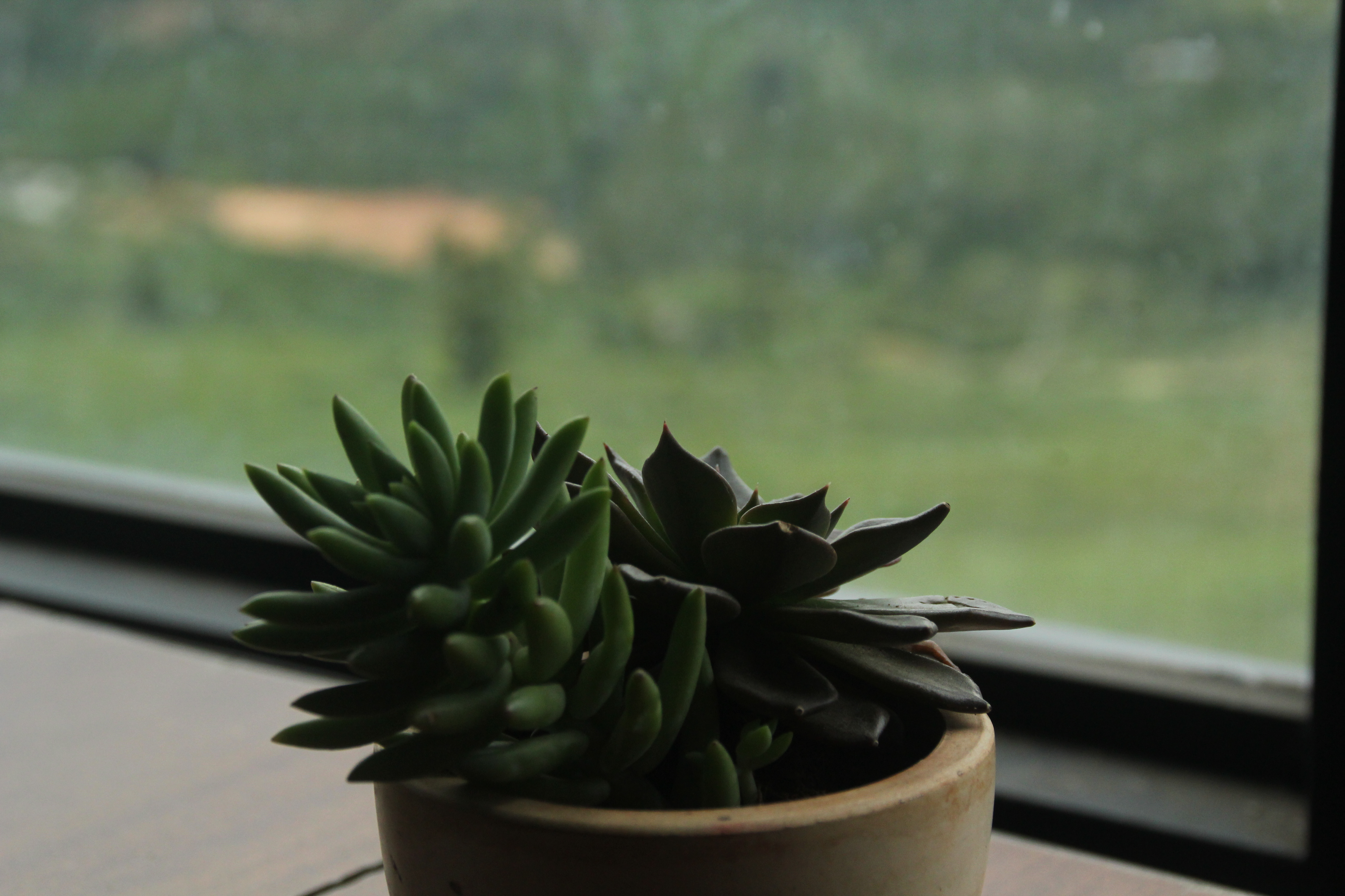 blog1